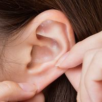 Piercing reverse: cirurgia para remodelar o lóbulo da orelha