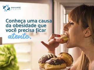 Causas da obesidade