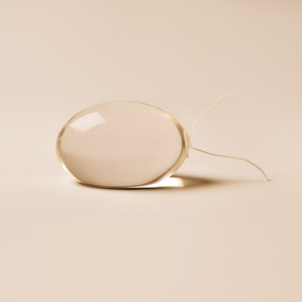 Exemplo de implante testicular Sebbin